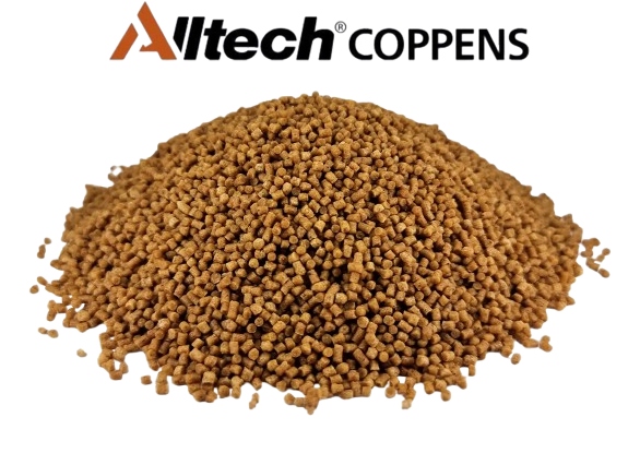 Pellet zanętowy Alltech Coppens Premium Coarse 2 mm 5 kg Method Feeder