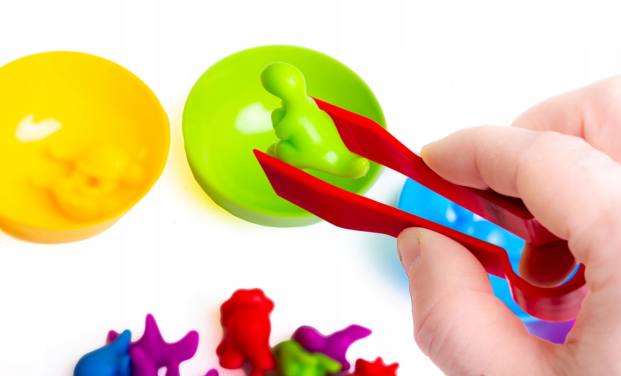 DINOZAURY do nauki kolorów liczenia chwytania EAN (GTIN) 5904161361879