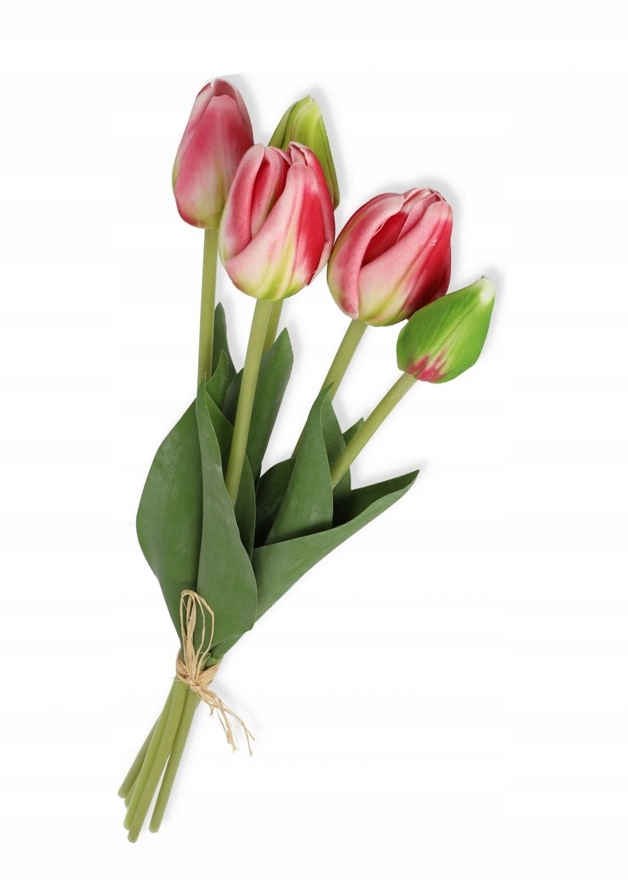 

Tulipany piankowe bukiet różowo zielony do wazonu