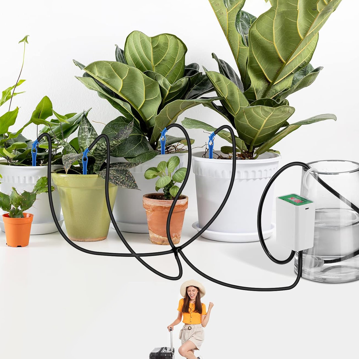 AUTOMATYCZNY SYSTEM NAWADNIANIA NA 12 ROŚLIN ZESTAW Z TIMER Marka Bedee