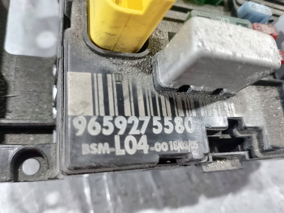 MODUŁ BSM PEUGEOT 307 CC 9659275580 BSM-L04 Producent części Delphi