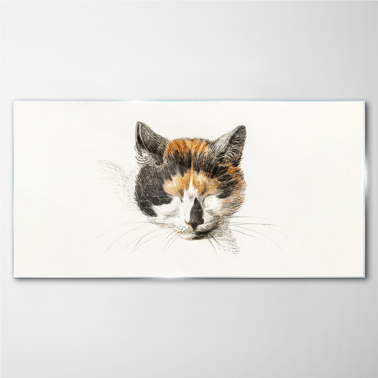 

Foto-obraz szklany do salonu Zwierzę kot 140x70 cm