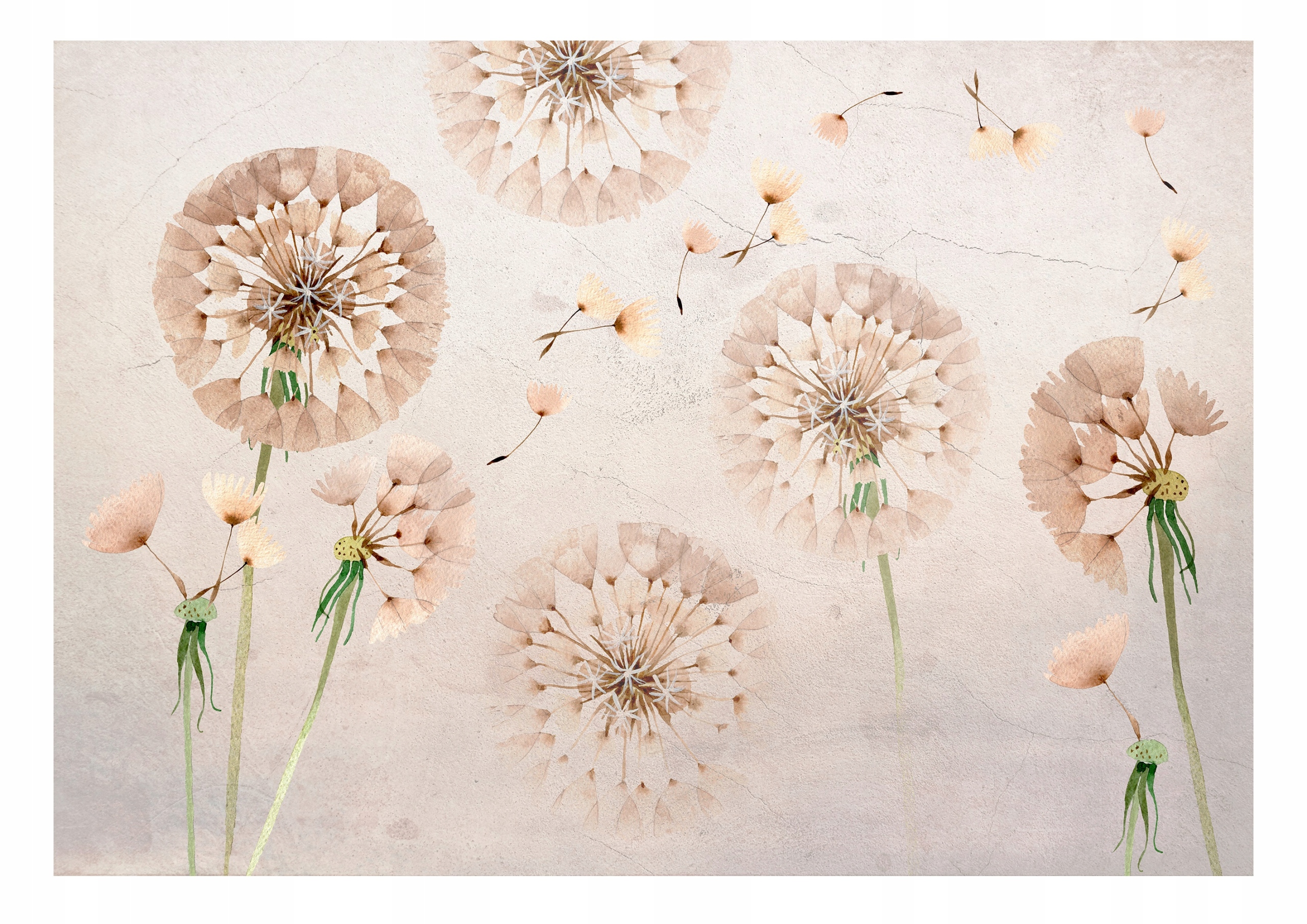 Fototapeta Foukací Květiny Na Betonu Tapeta Do Ložnice Obývacího Pokoje 368x254