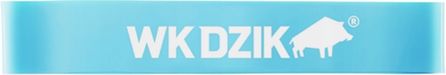 

Wk Dzik Mini Band Guma Taśma Do Ćwiczeń 10 15 Kg