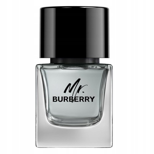 Burberry Mr. Burberry toaletní voda sprej 50 ml