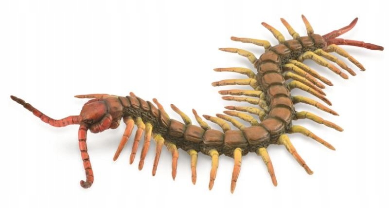 

Parecznik - Centipede - CollectA - 88885 - L