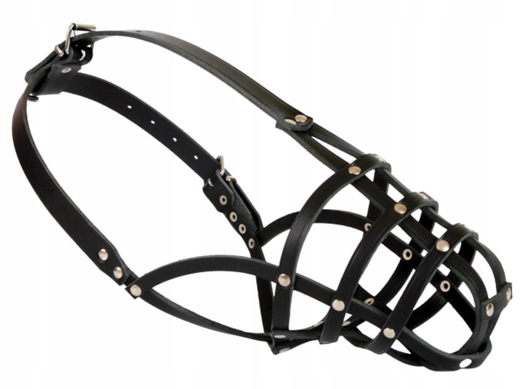 Dingo Skórzany kaganiec dla psa rasy Spaniel – nitowany nr 4