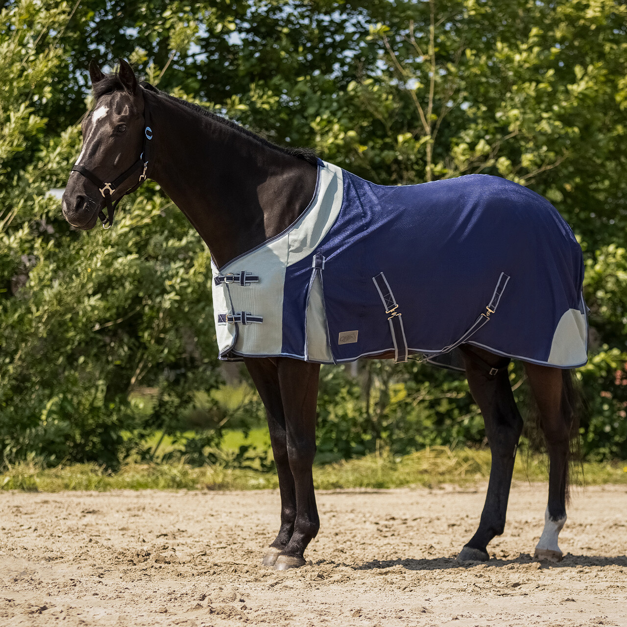 Deka Qhp Fly proti hmyzu šedá/granátová 205 (155)