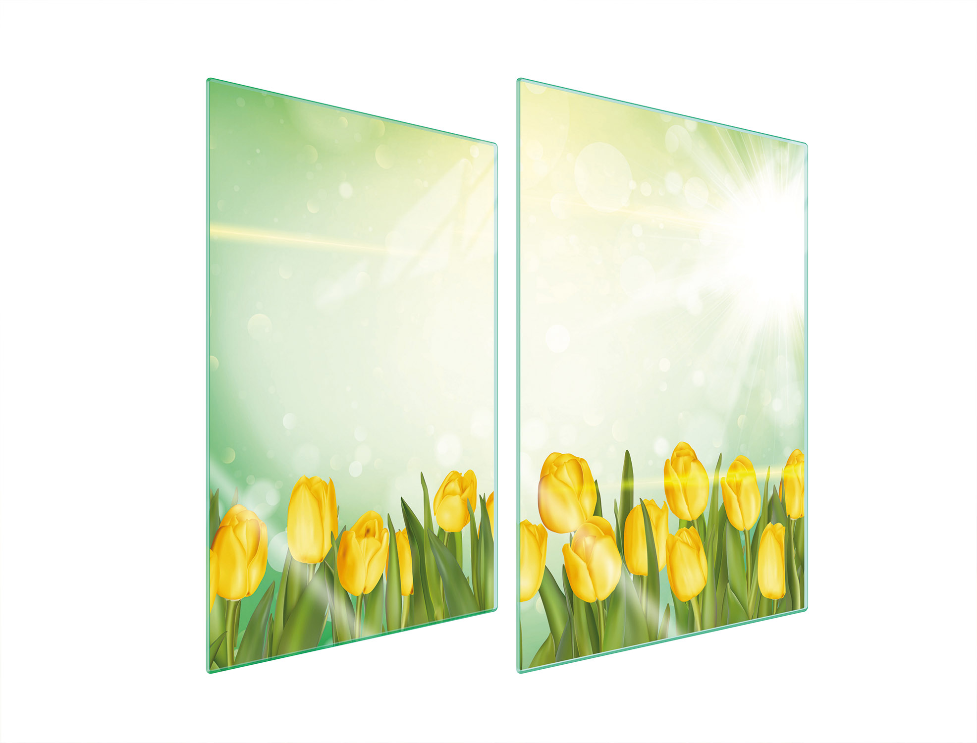 Skleněná Ochranná Deska Do Kuchyně 2x35x52 Tulipány Tvrzené Sklo