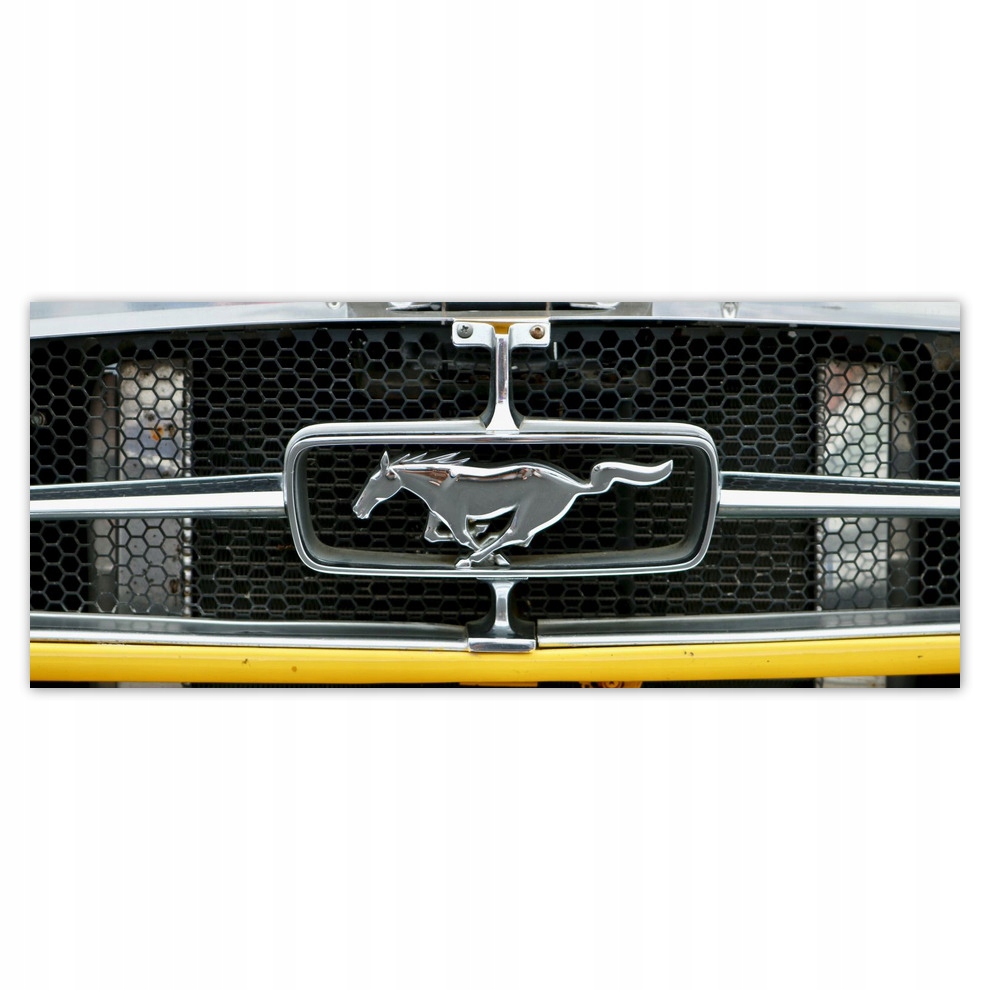 

Fototapety flizelina 250x104 Znak Ford Mustang