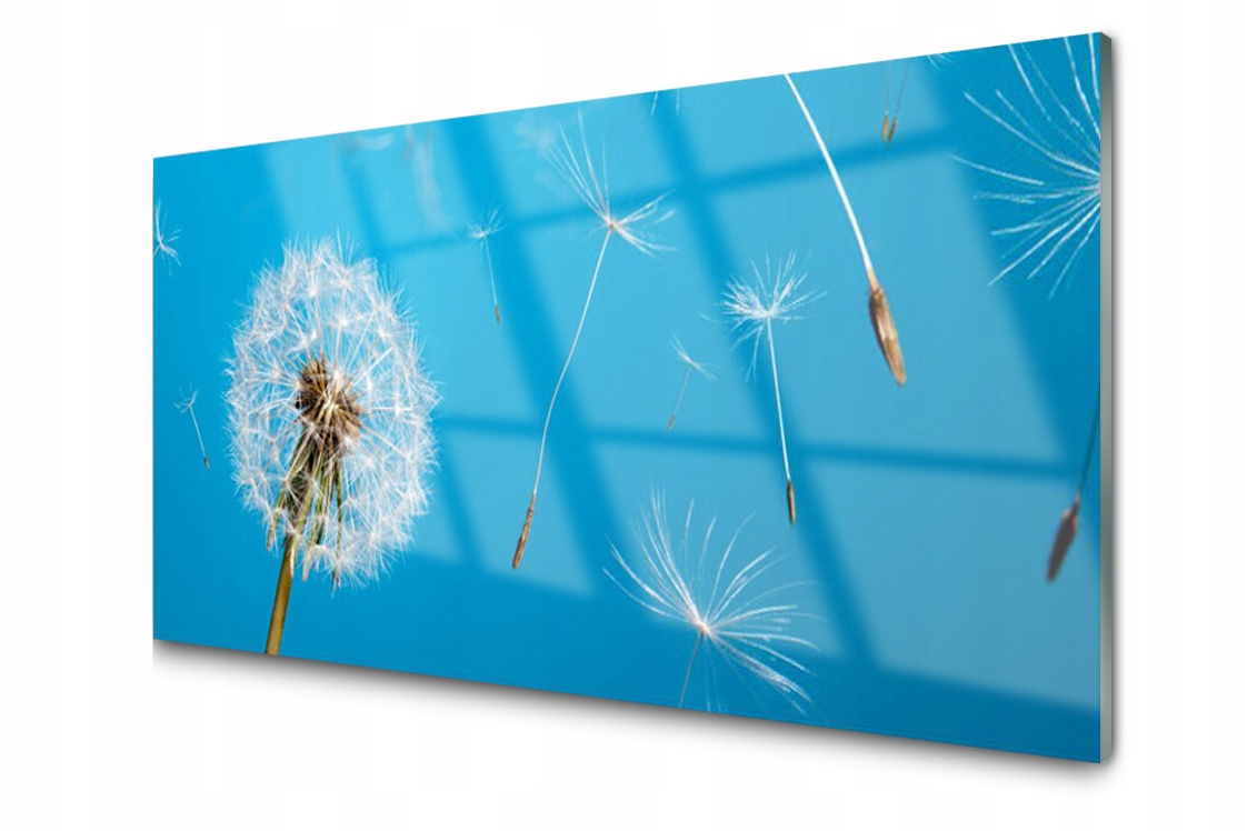 

Panel szklany Płytka Dmuchawce Kwiaty 120x60