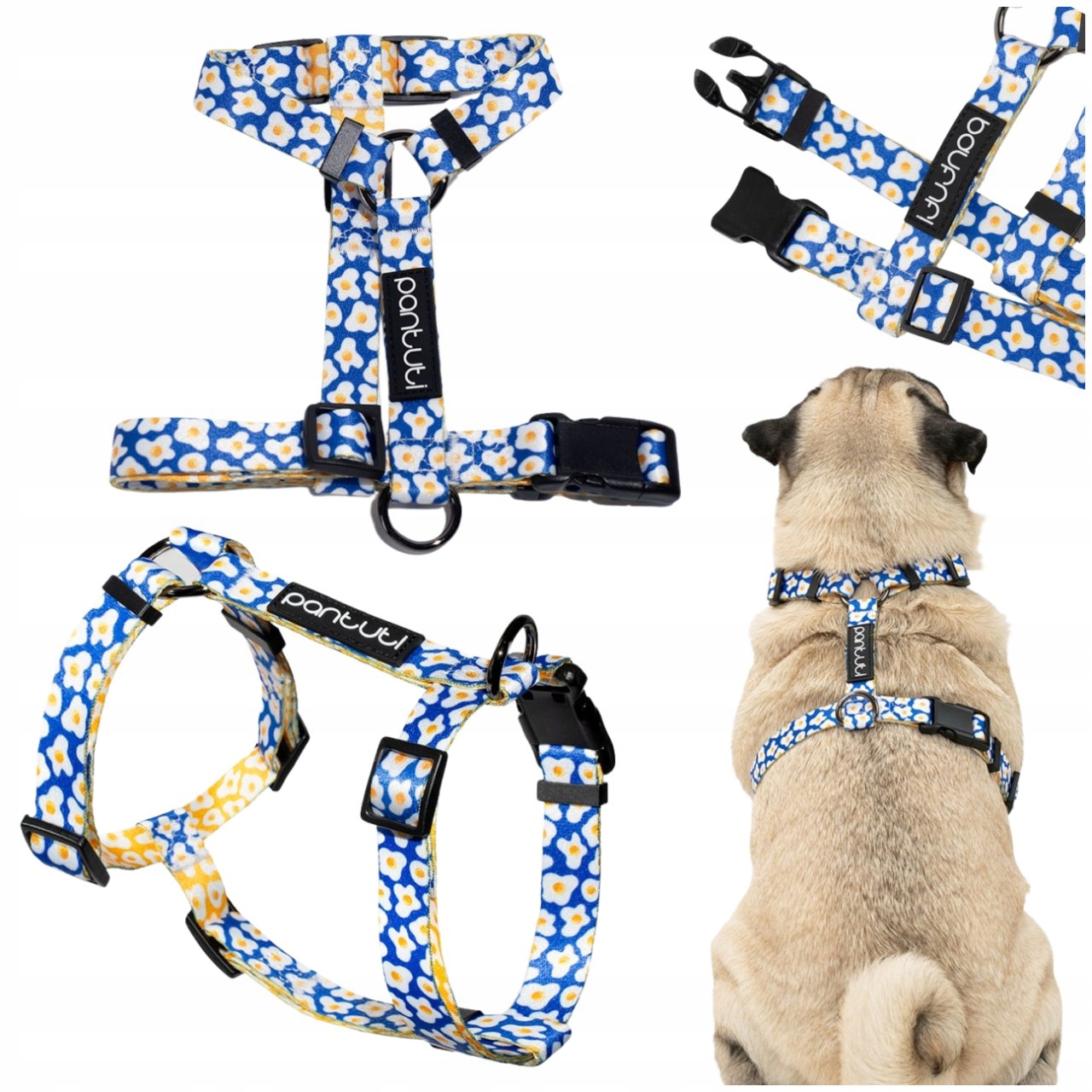 Levně Postroj Pro Psa Guard, Postroj Pro Malého Psa, Modrý, Bílý S Vejcem Xs