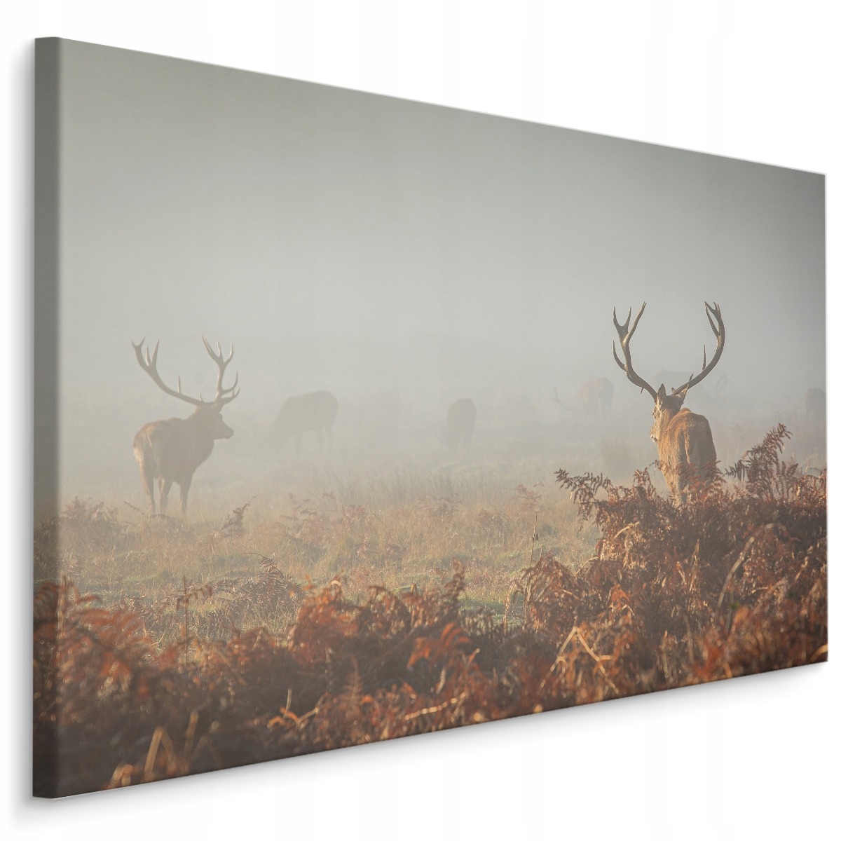 Obraz na plátně jelen pole mlha slunce 100x70