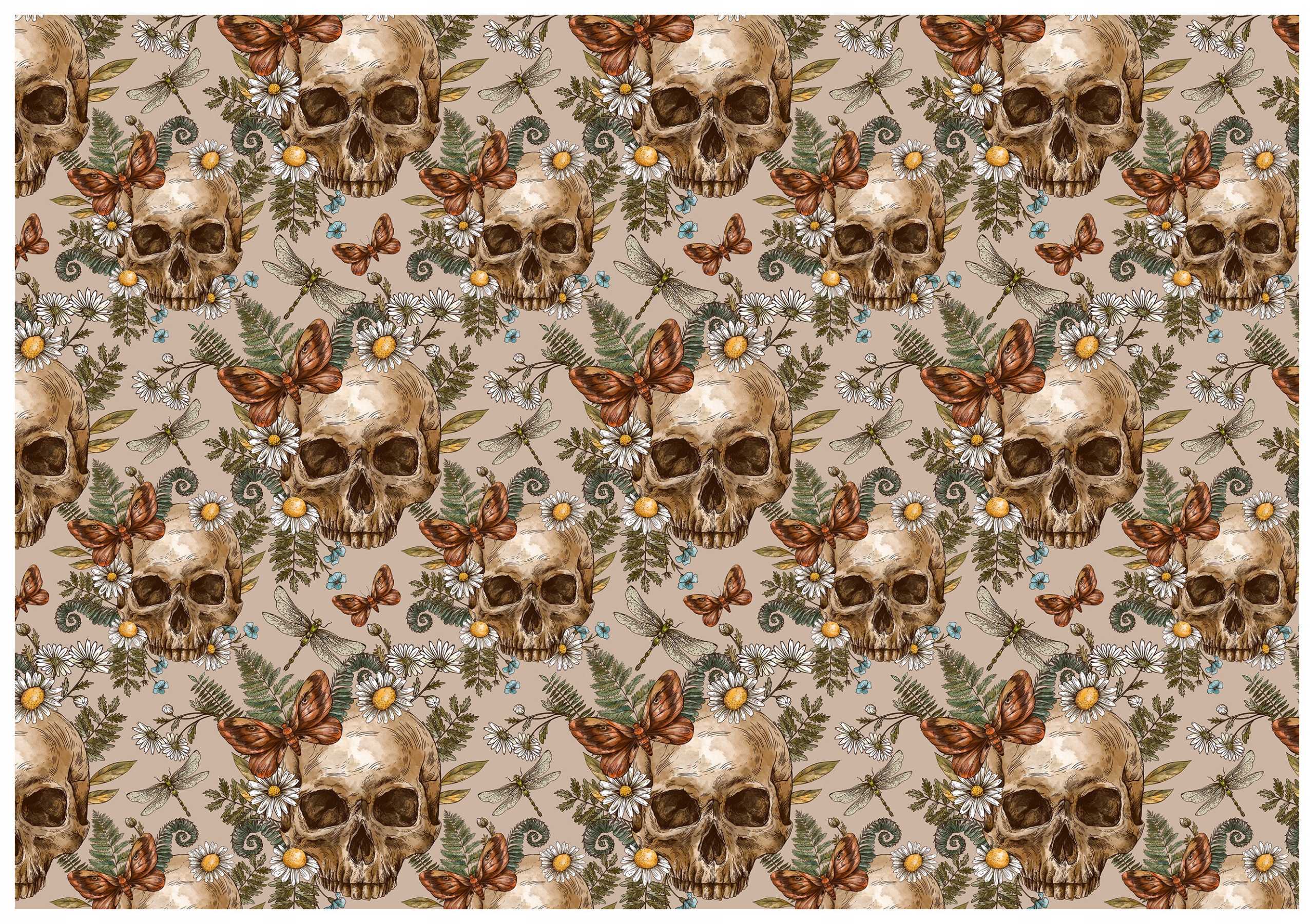 Vliesová fototapeta Lebky Kvety Motýle béžová vintage 350x250 lepidlo