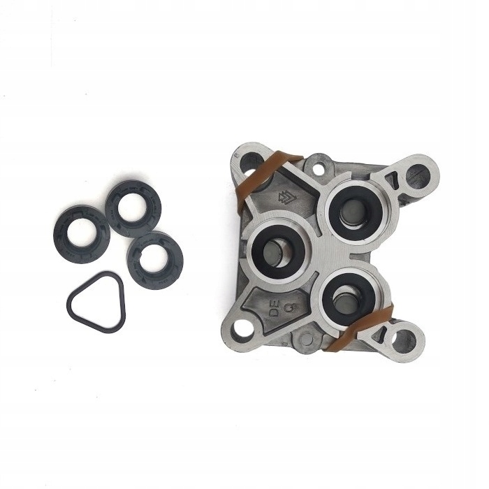 Głowica pompy z uszczelkami K5 (9.002-456.0)