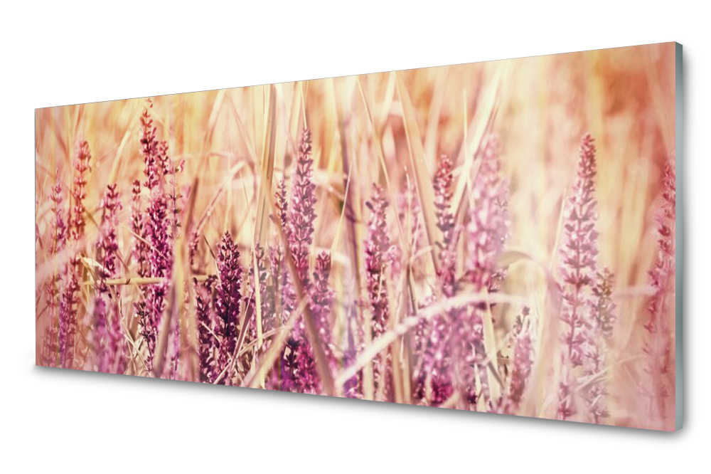 Sklenený panel do kuchyne Pšenica Rastlina 125x50