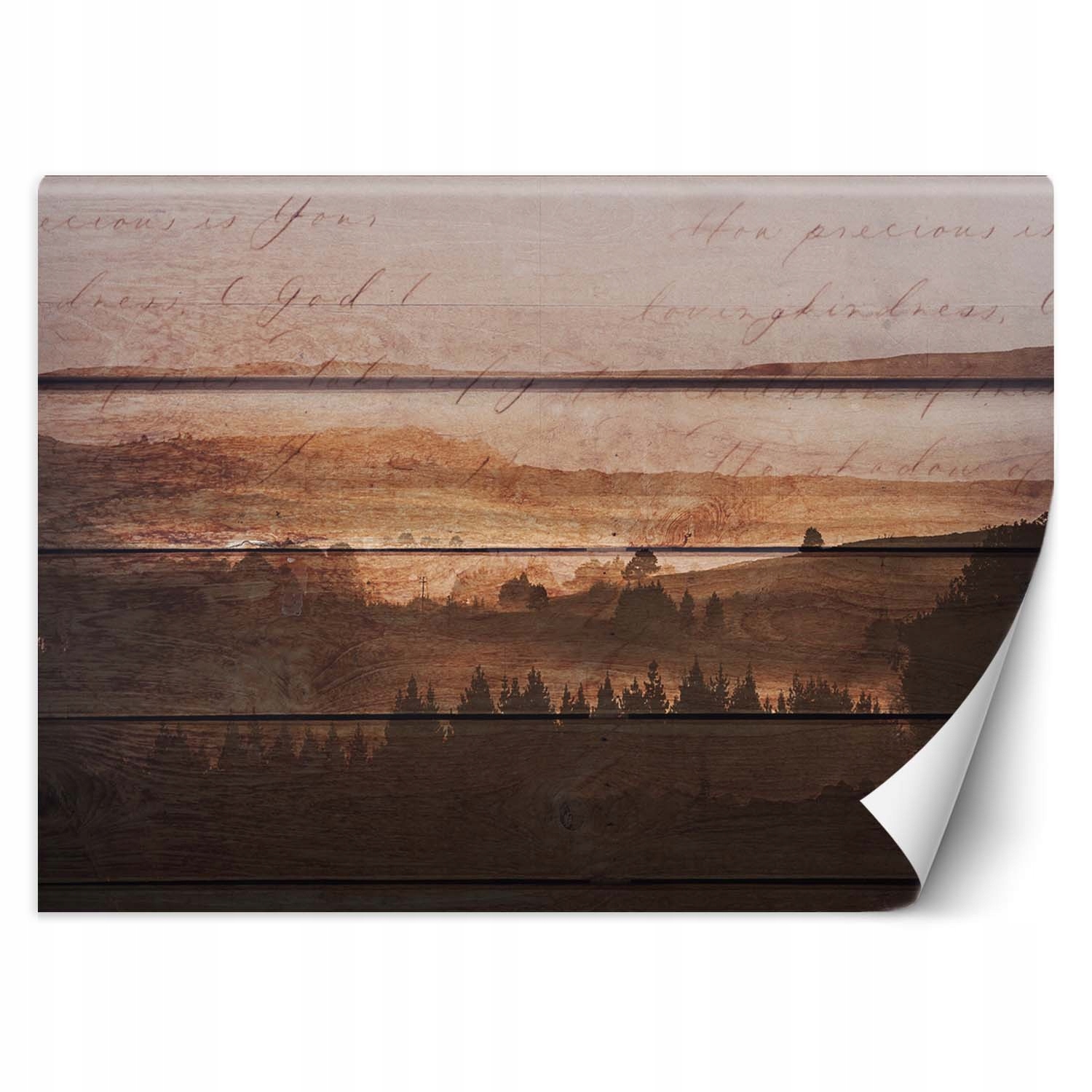 Fototapeta, Lesní desky vintage 400x280