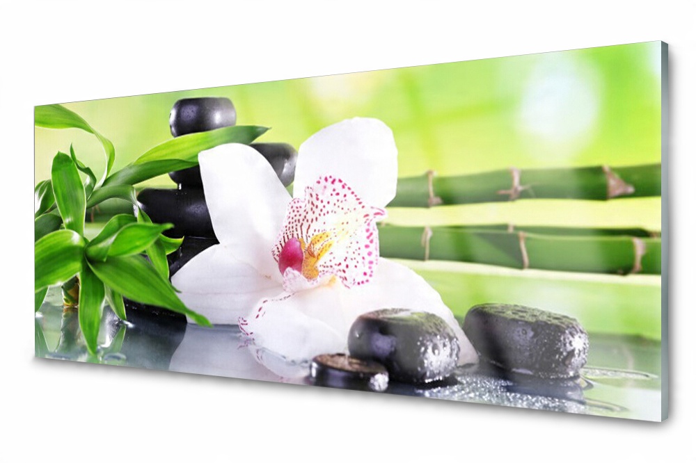 

Panel szklany do kuchni Storczyk Zen Bambus 125x50