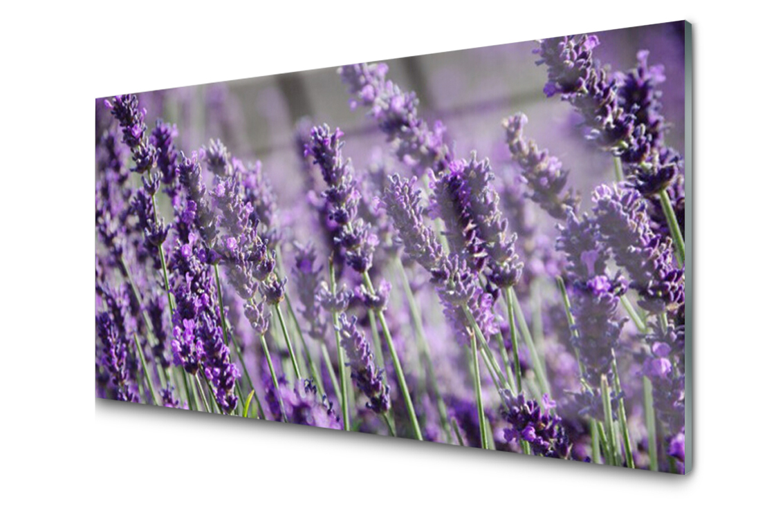 

Panel szklany dekor Kwiaty Roślina 140x70 + Klej
