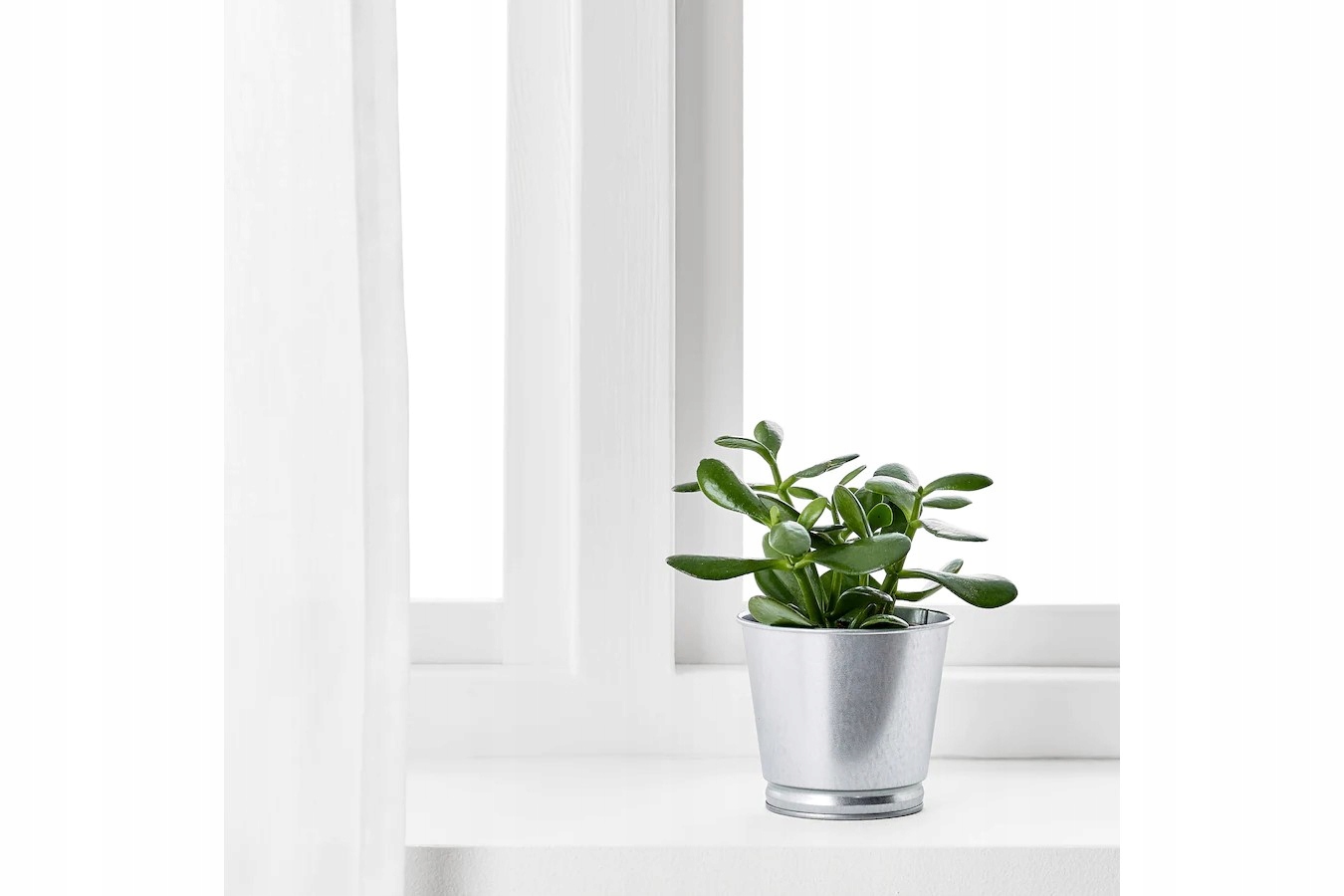 12 szt. BINTJE Osłonka doniczki - galwanizowano 9 cm EAN (GTIN) 8033412723146