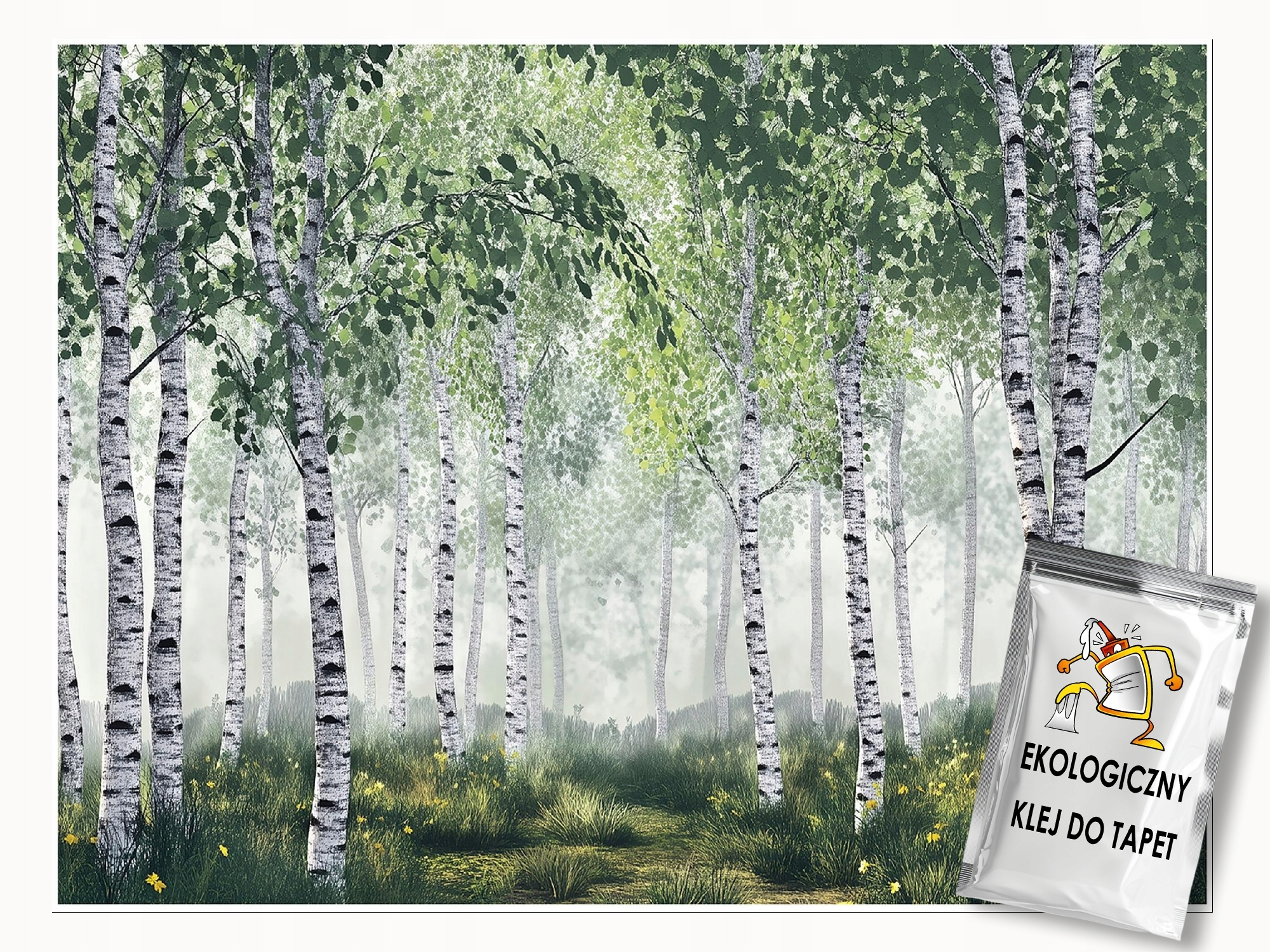 Fototapeta 3D Březový Les Stromy Příroda Na Zeď Ložnice Obývací Pokoj 200x140