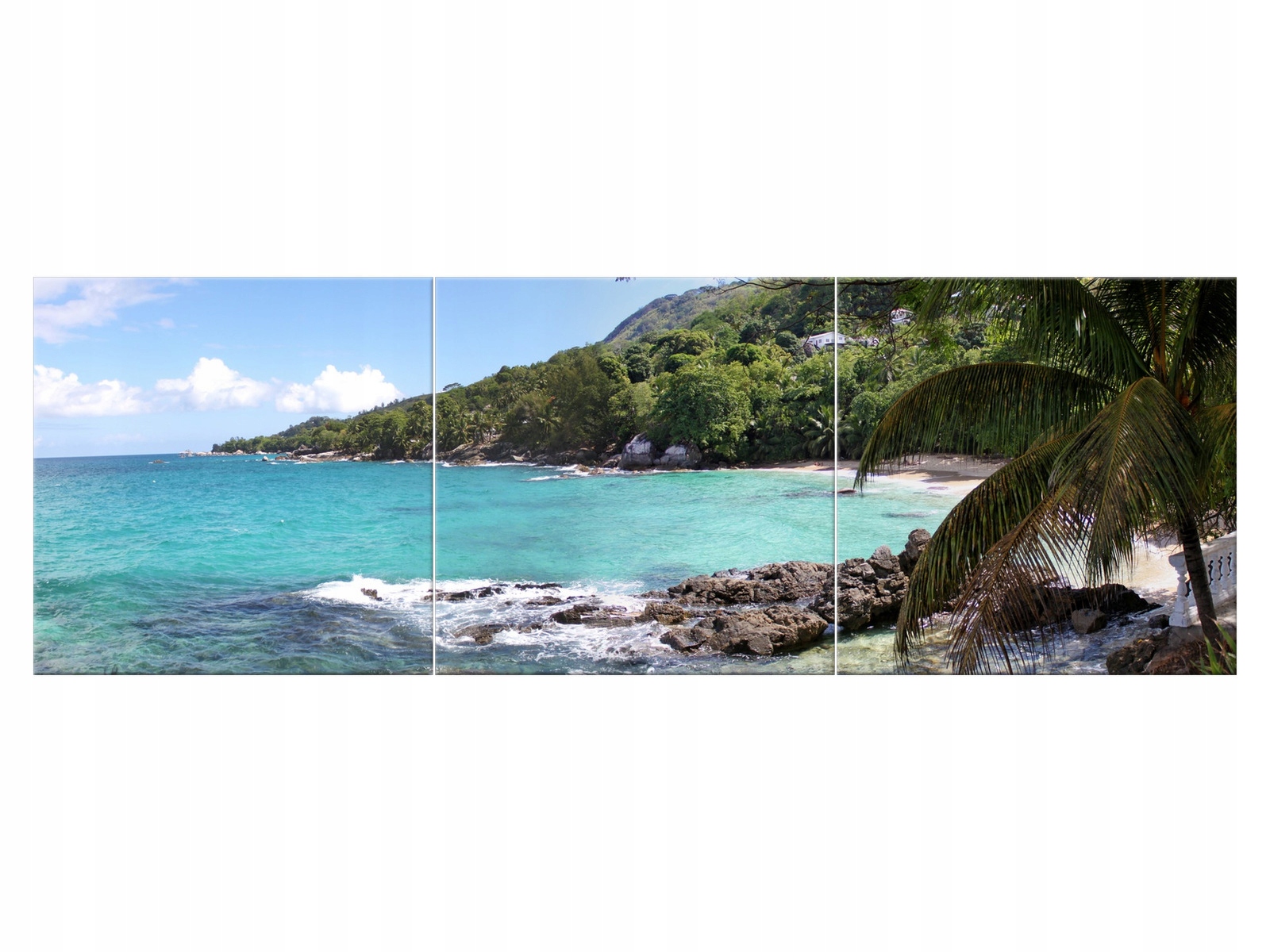 

Obraz Tryptyk Tropiki 150x50 Pejzaż Rośliny