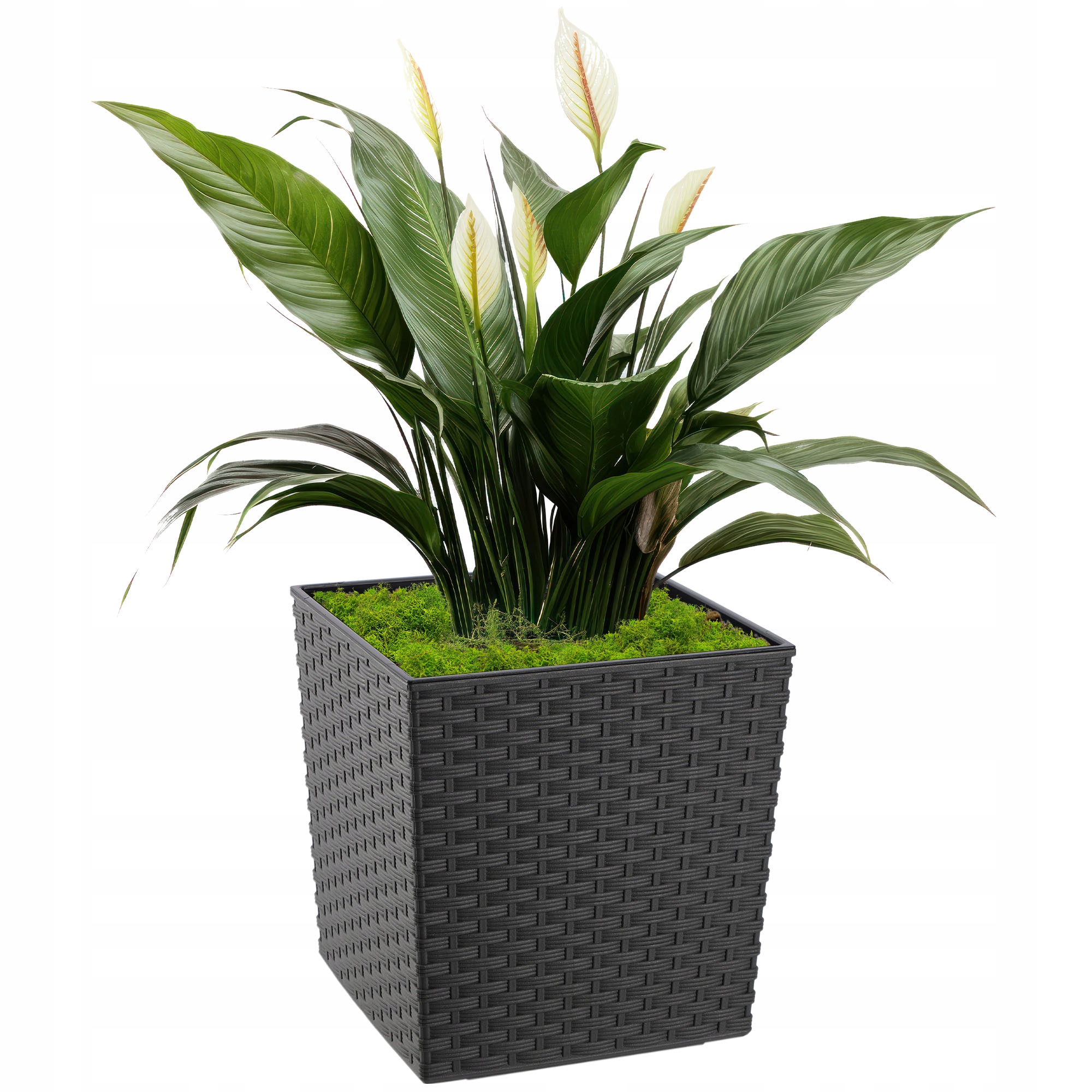 DONICZKA OSŁONKA Z WKŁADEM NA KWIATY GRAFIT 30cm