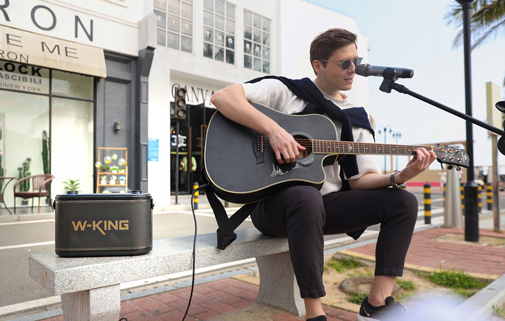 Портативна колонка W-King H10 S BLACK чорна 80 Вт Інша модель