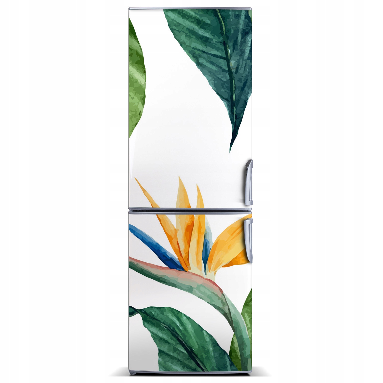 

Magnes na lodówkę Strelicja królewska 60x180