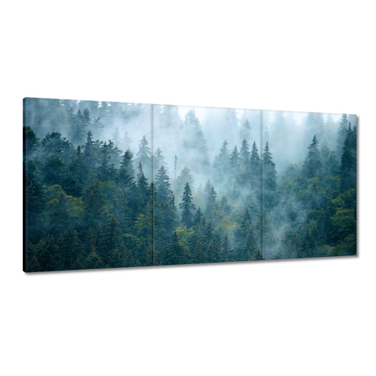 Obrazy 180x90 Les v hmle Cestovanie