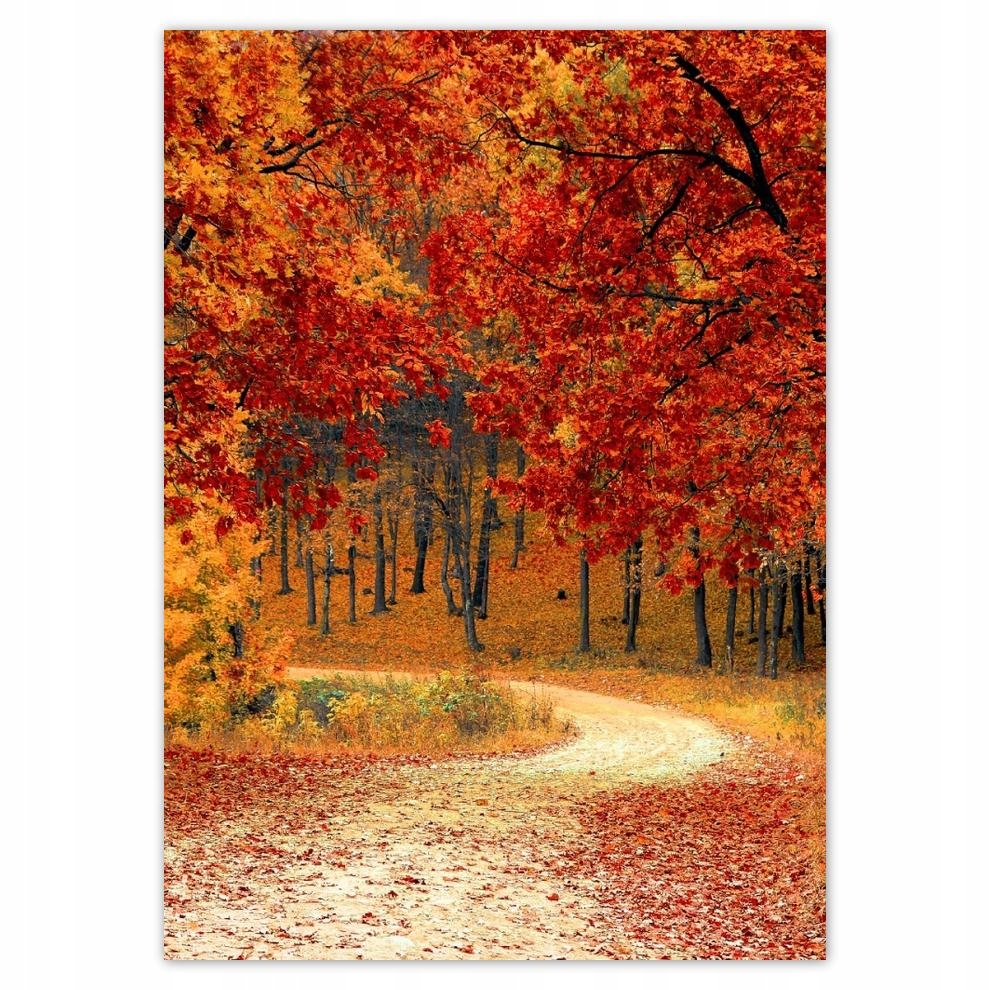 

Plakaty 50x70 Pejzaż Krajobraz