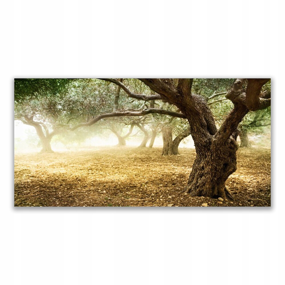 

Obraz z grafiką wiszący 120x60 Drzewo Trawa Natura