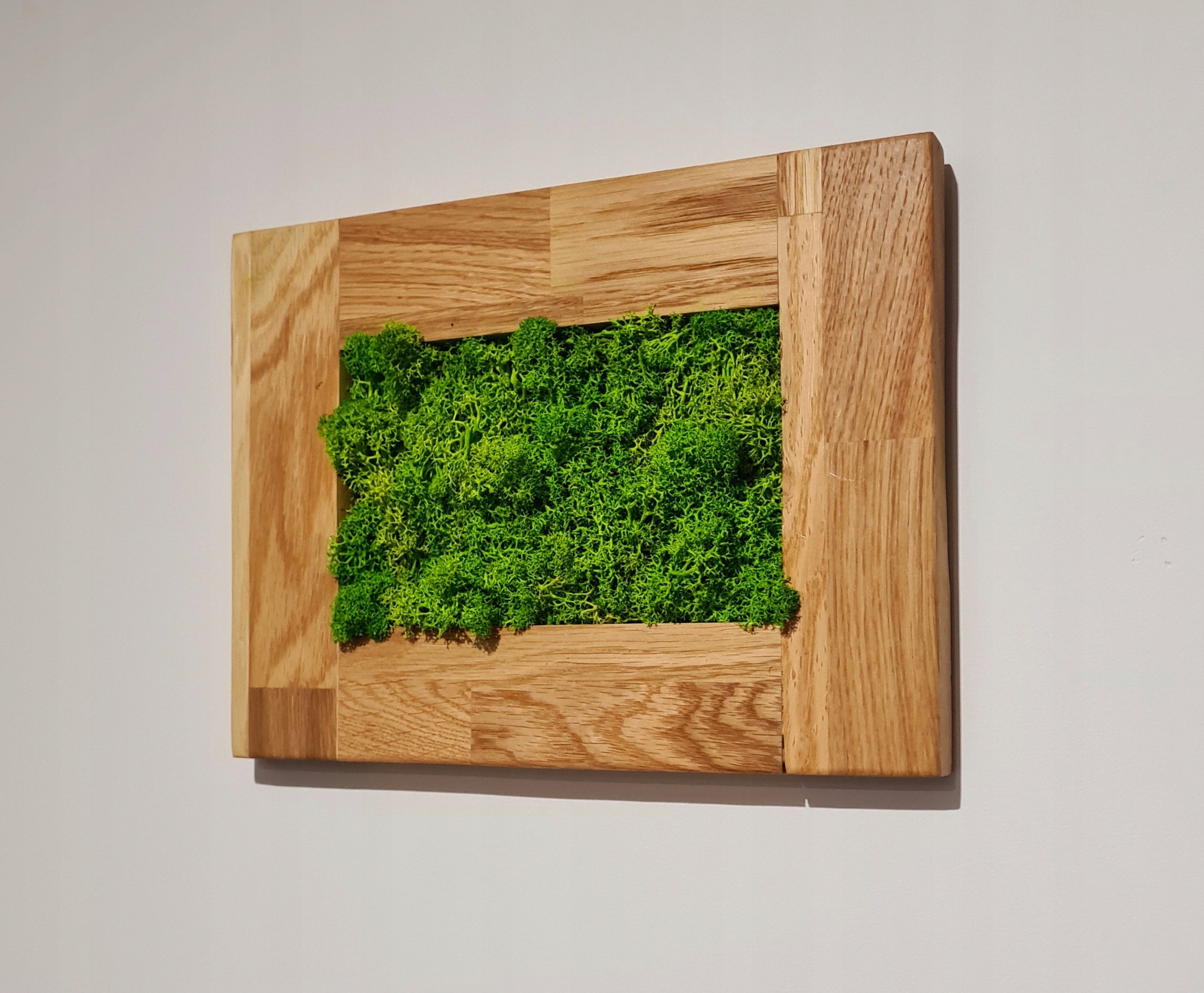 Obraz mech Chrobotek Rama Dębowa Obraz z mchu Kod producenta oak