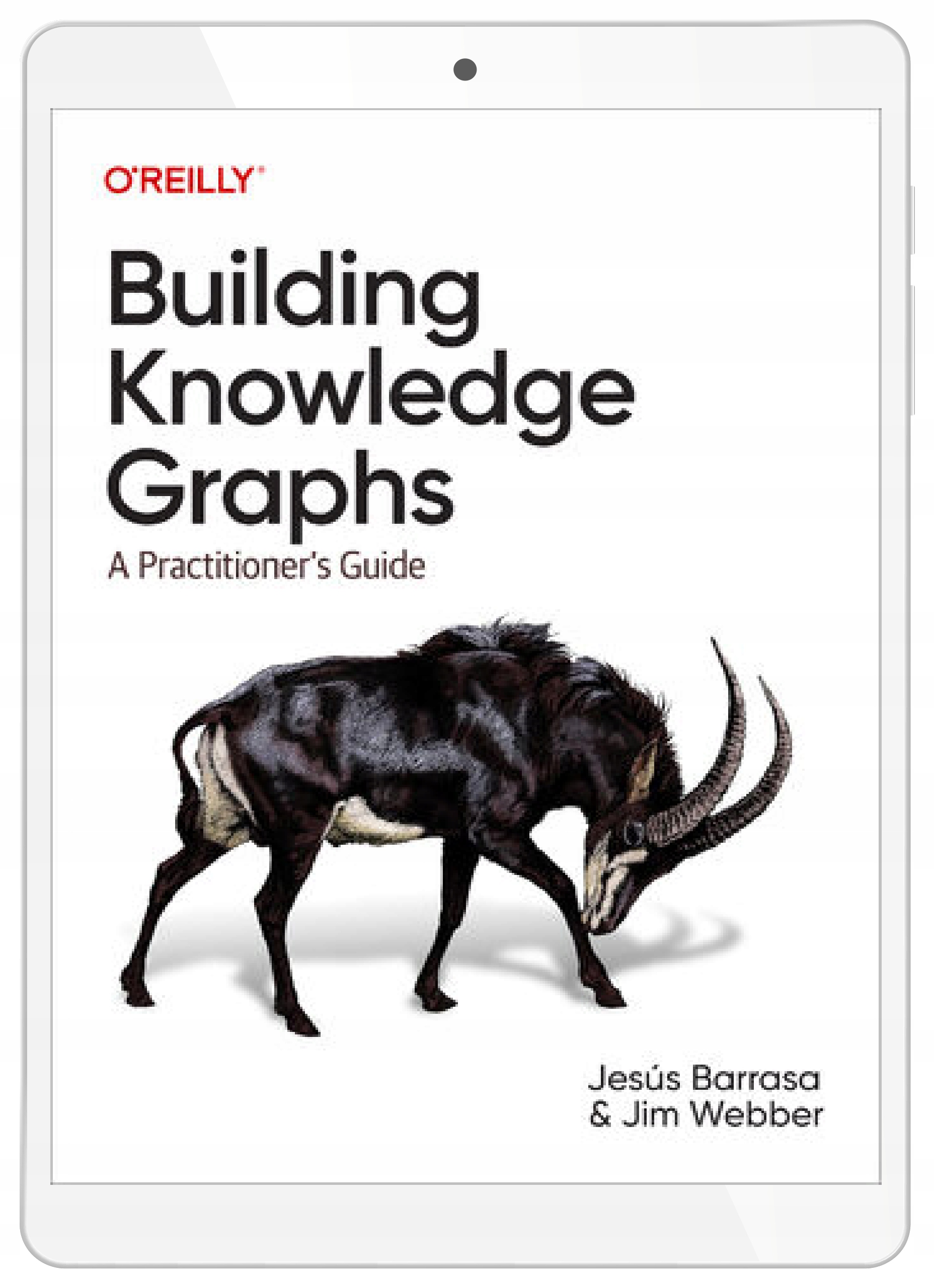 Building Knowledge Graphs