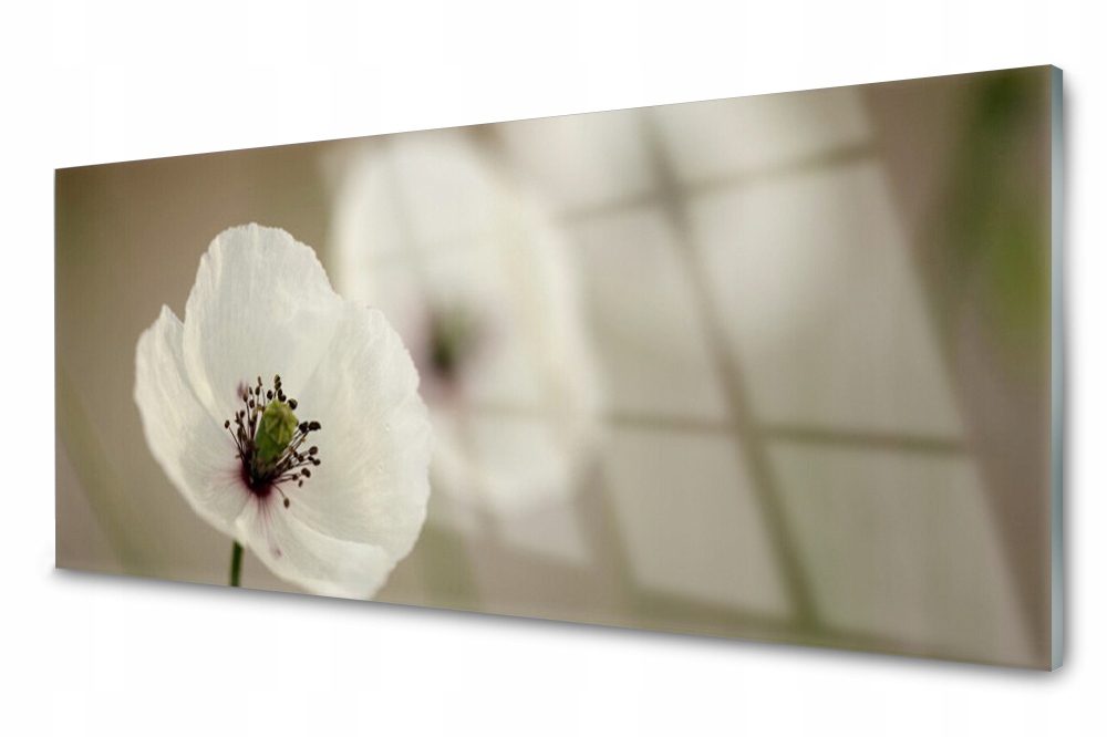 

Panel szklany do kuchni Kwiat Roślina 125x50