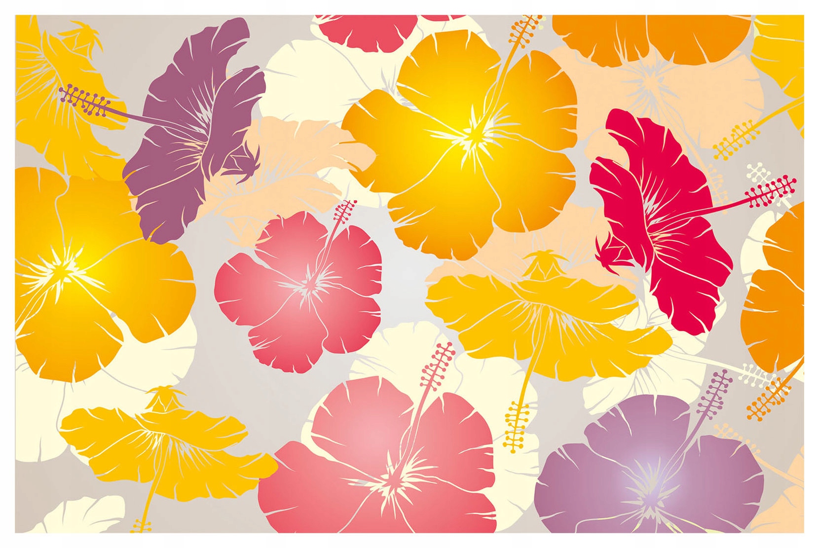 Fototapeta Květiny ibišku exotická vinylová 254x184 lepidlo