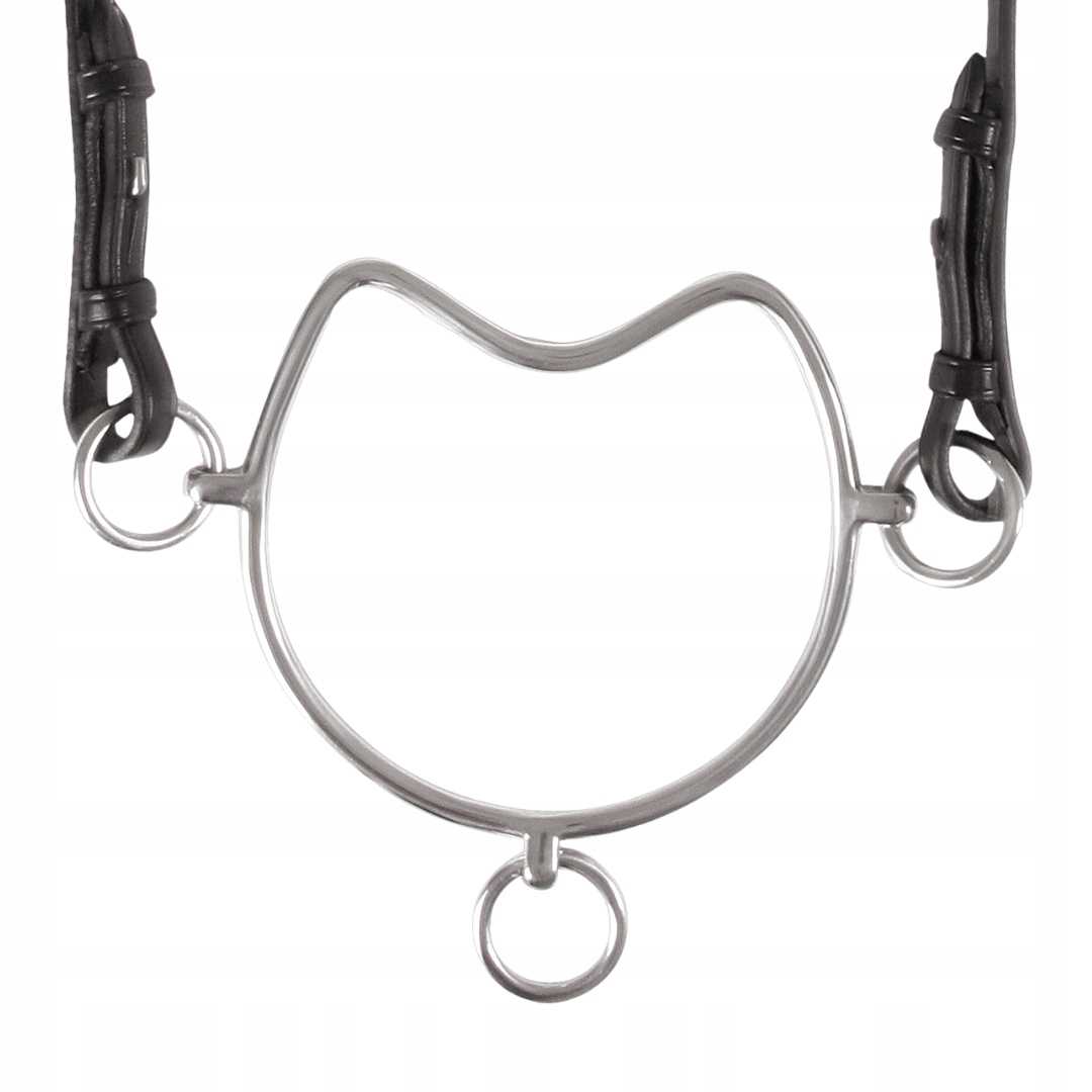 Udidlo s hrotem pro koně Chifney z nerezové oceli 12,5 cm Waldhausen