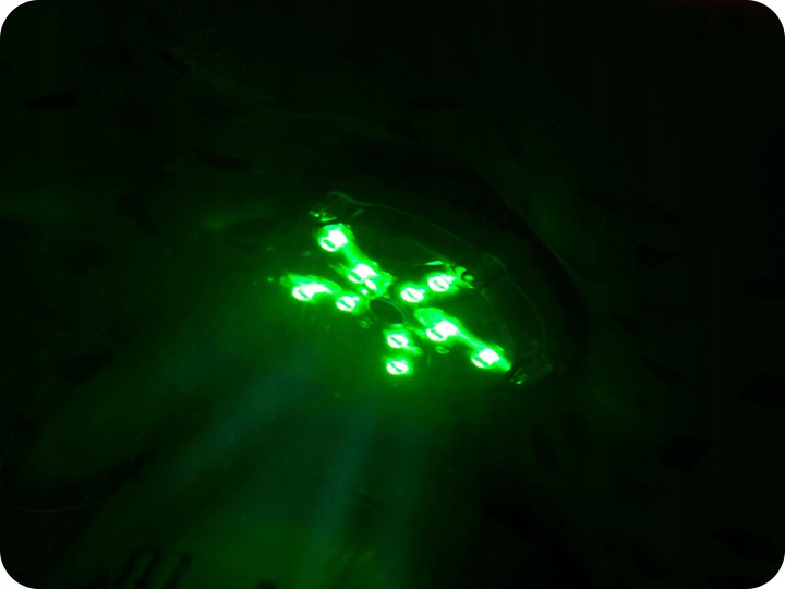 Lampka na baterie Basenowa do Lay-Z-Spa LED MULTICOLOR Bestway 60303 Producent Bestway