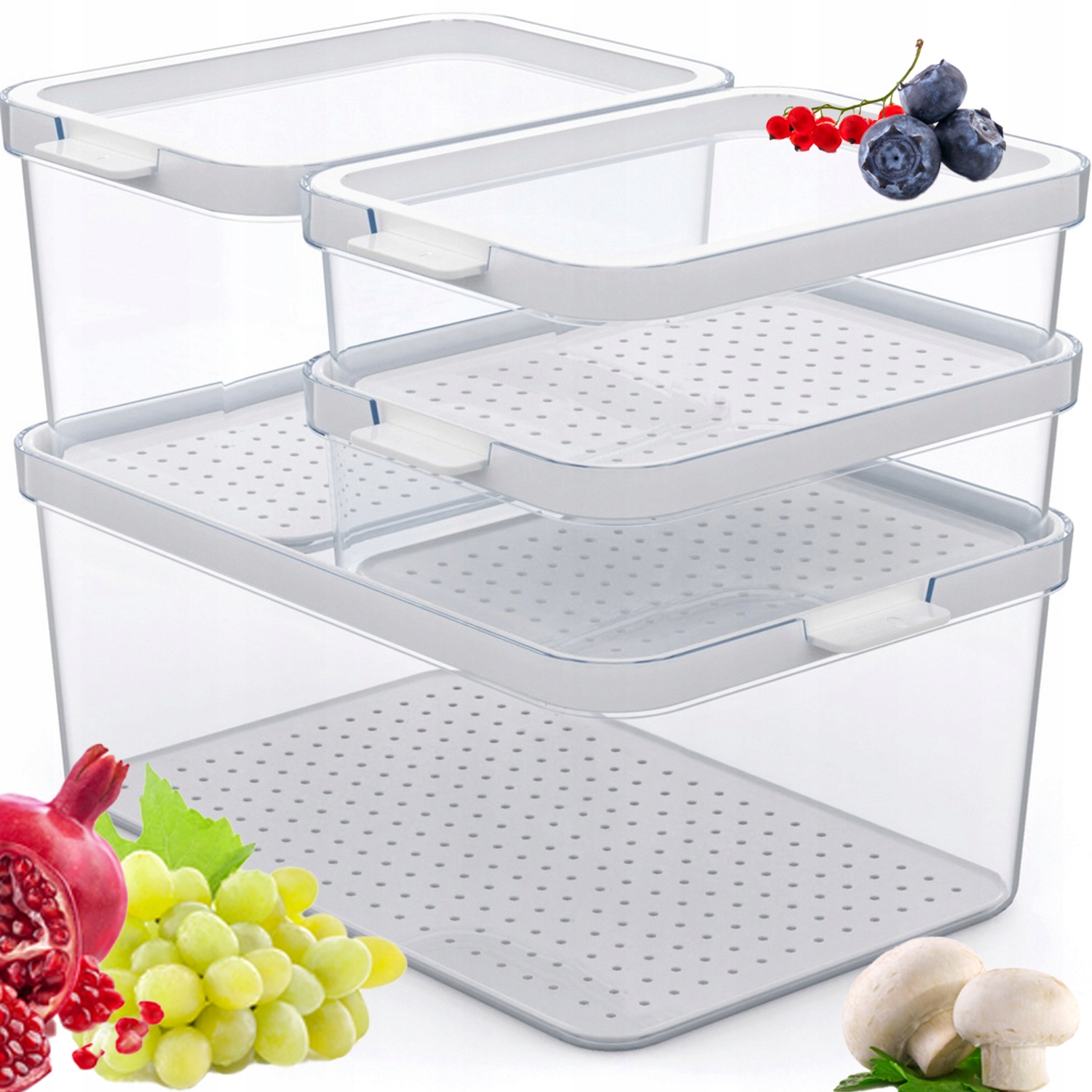 Rotho Zestaw 4 Pojemników Pojemnik Do Lodówki Przechowywania Żywności Cauma