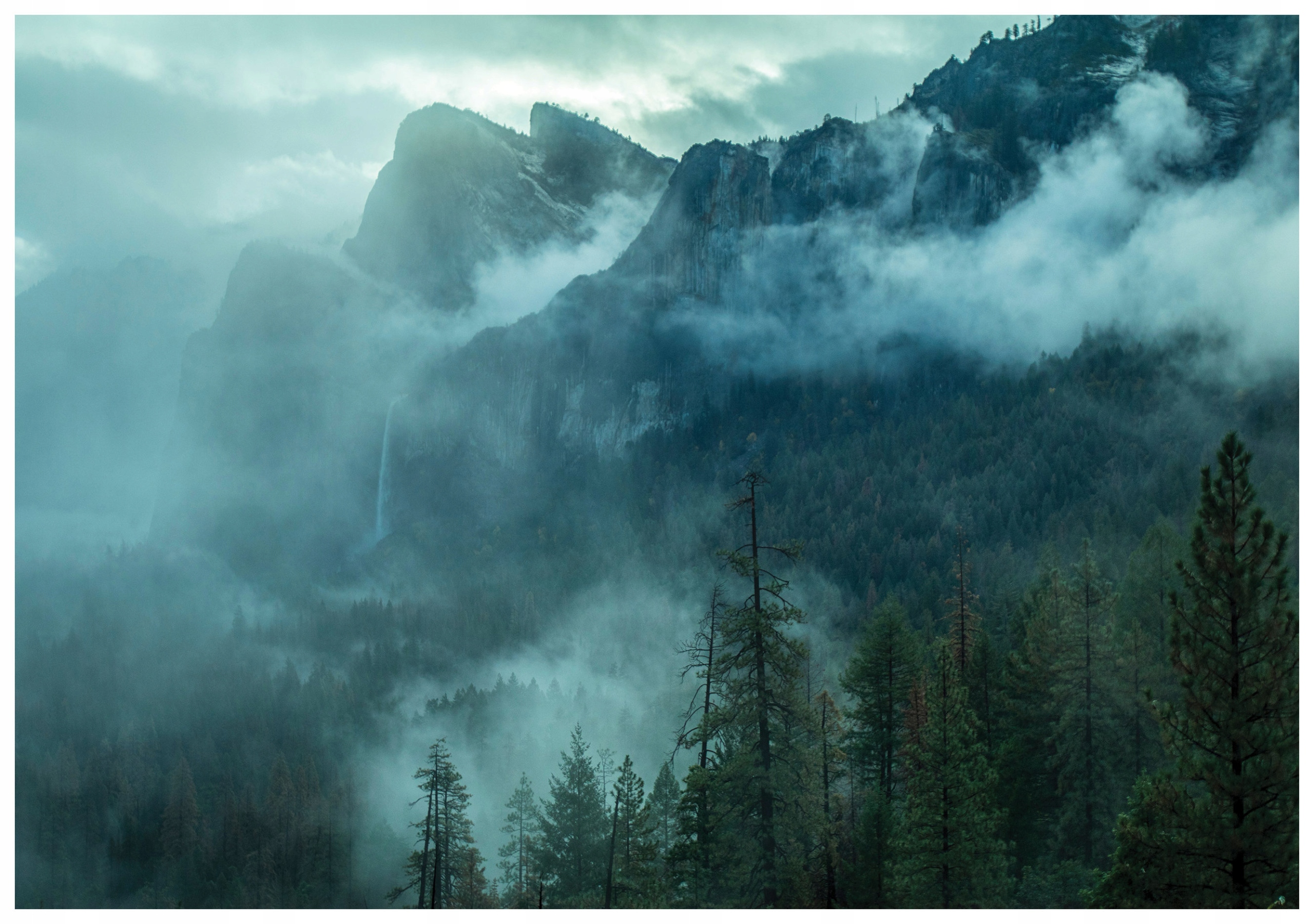 Fototapeta Horská krajina v mlze s borovicemi a vodopádem 208x146 lepidlo