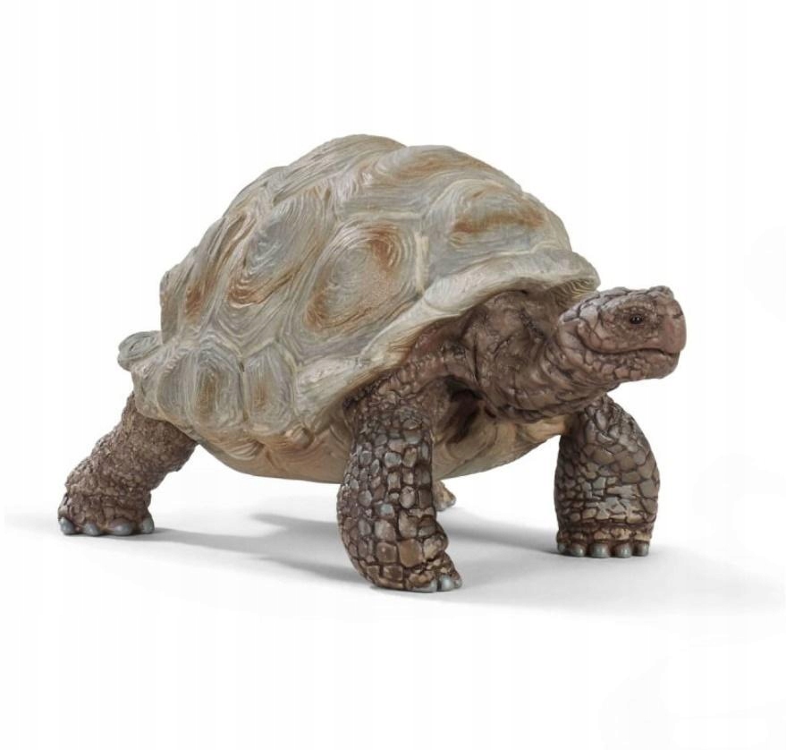 

Żółw Gigant, Schleich