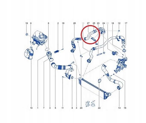 RURA INTERCOOLERA RENAULT MASTER 2.3DCI 144603730R Producent części Protego