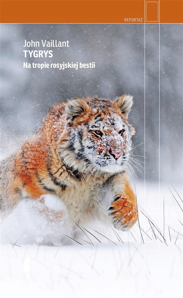 

Tygrys. Na Tropie Rosyjskiej Bestii John..