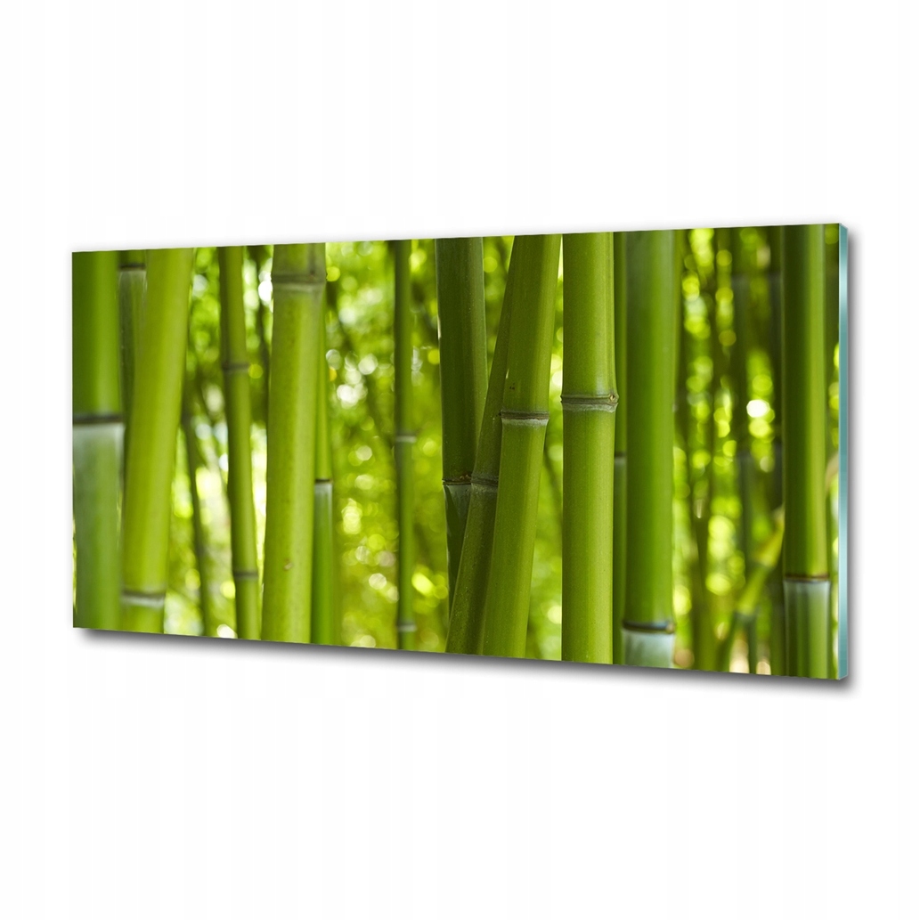 Velký fotoobraz vytištěný na skle Bambus 120x60