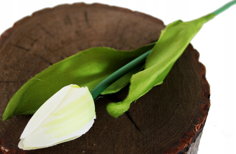 

Tulipan Na Łodydze Biały/zielony 42 cm