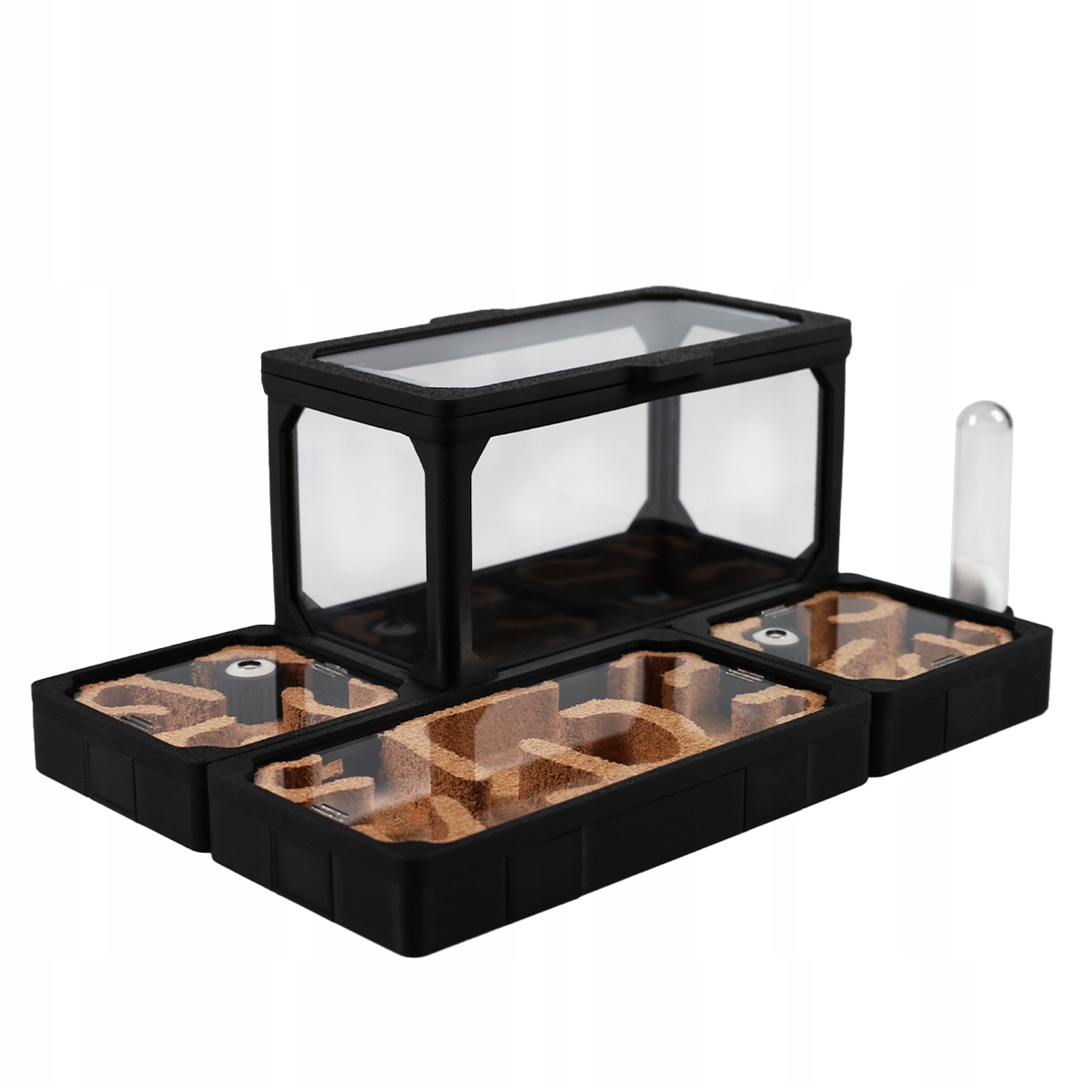 Formikarium Average L Modułowe Korkowe Terrarium Dla Mrówek 210x140