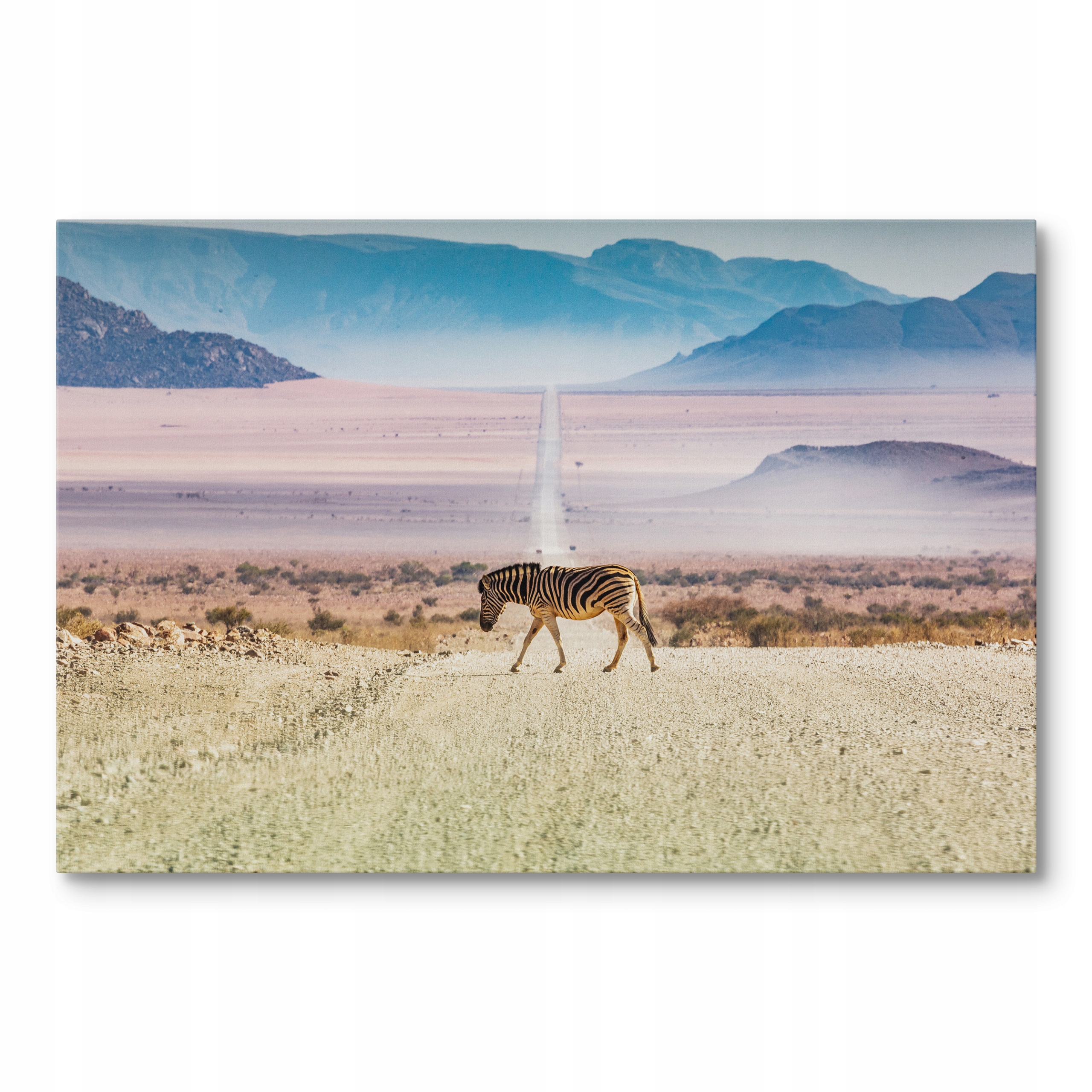 Obraz na plátně Zebry Na Silnici V Namibii Afrika 70 x 50 cm