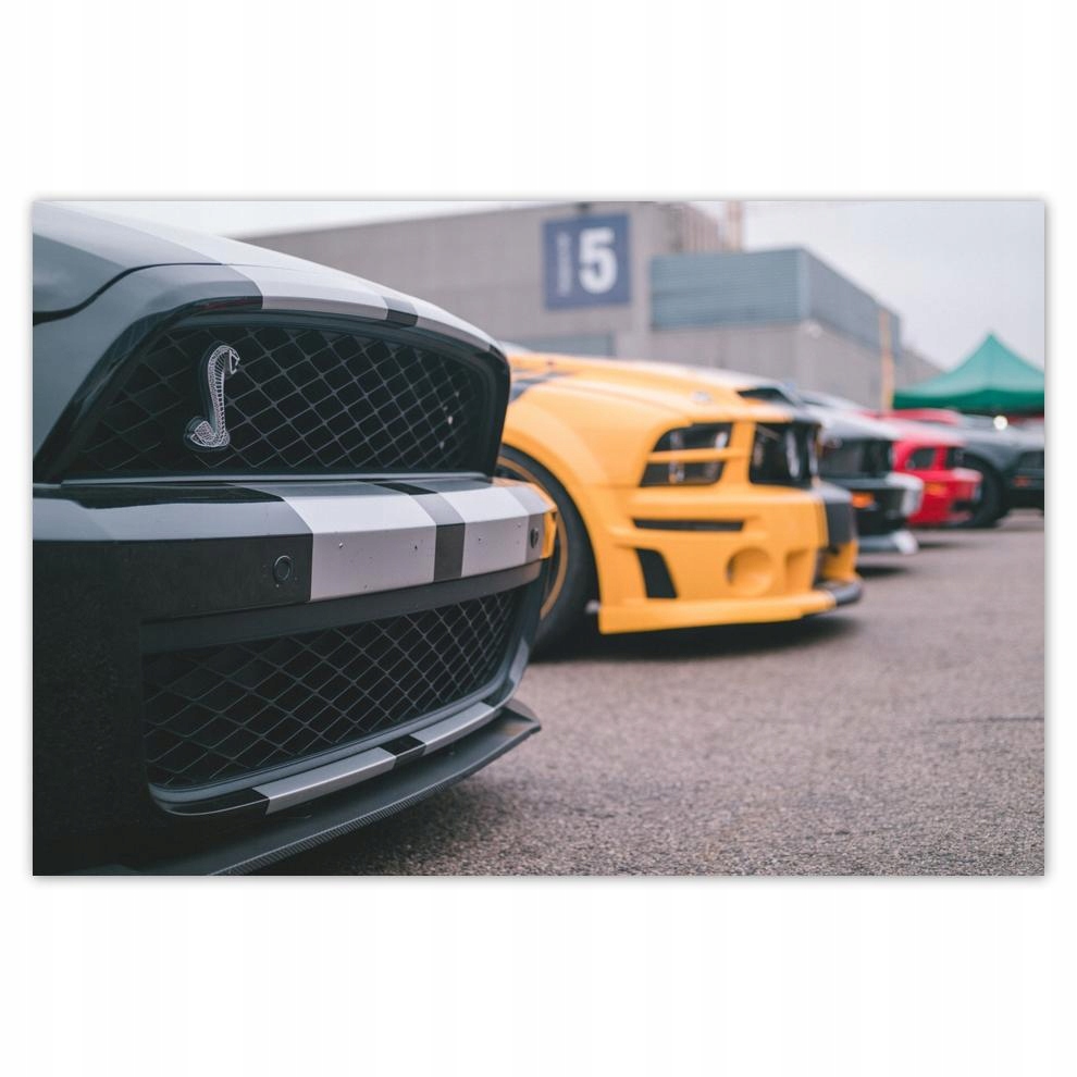 

Plakaty 60x40 Ford Mustang Samochód