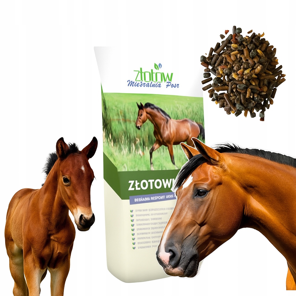 Pasza dla Źrebiąt musli Hodowla klaczy karmiących źrebnych Złotowital 20kg