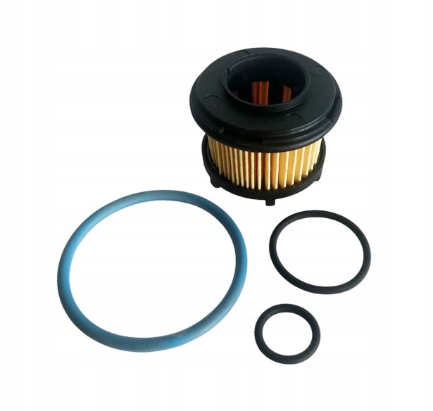 169192173R Filtr gazu LPG do 1.0TCe
